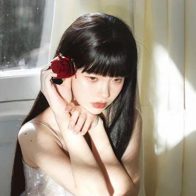 屋顶的公寓